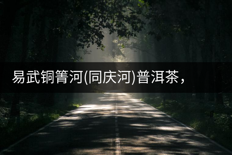 易武銅箐河(同慶河)普洱茶，讓我拜倒的不止它的口感易武銅箐河（同慶河）普洱茶，讓我拜倒的不止它的口感