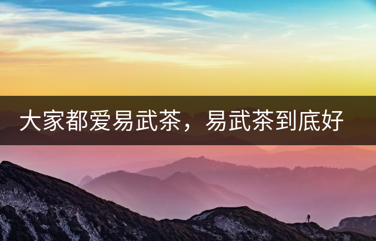 大家都愛易武茶，易武茶到底好在哪兒?大家都愛易武茶，易武茶到底好在哪兒？