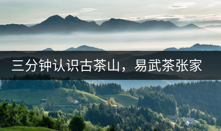 三分鐘認(rèn)識(shí)古茶山，易武茶張家灣寨普洱茶口感特點(diǎn)