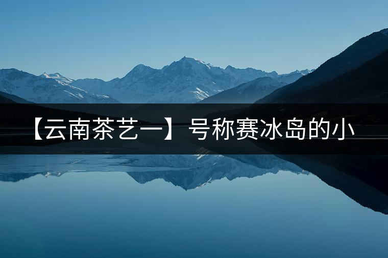 【云南茶藝一】號(hào)稱賽冰島的小戶賽憑什么！今天帶大家一起研究下