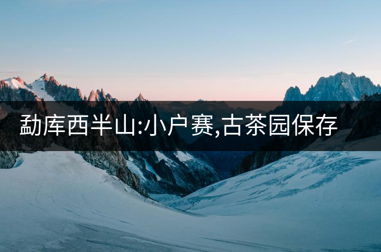 勐庫(kù)西半山:小戶(hù)賽,古茶園保存最好的寨子