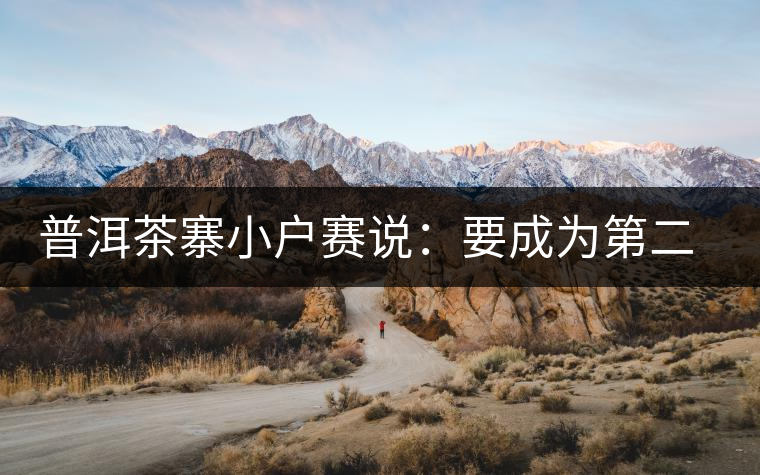 普洱茶寨小戶賽說：要成為第二個冰島，勐庫普洱茶圈都爆了！