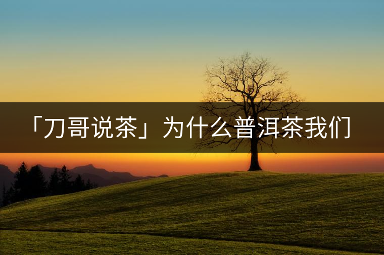 「刀哥說茶」為什么普洱茶我們情愿選三無？