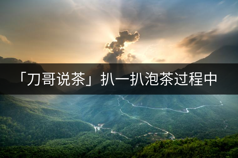 「刀哥說茶」扒一扒泡茶過程中最容易犯的十條失禮行為 「刀哥說茶」扒一扒泡茶過程中最容易犯的十條失禮行為