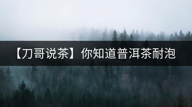 【刀哥說茶】你知道普洱茶耐泡，那你知道哪一類普洱茶比較耐泡？