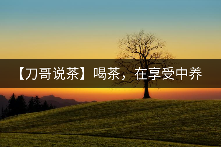 【刀哥說(shuō)茶】喝茶，在享受中養(yǎng)生的最佳選擇