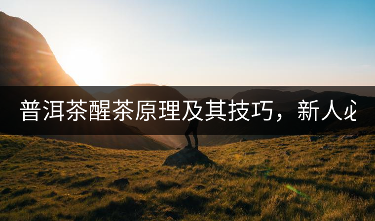 普洱茶醒茶原理及其技巧，新人必備！