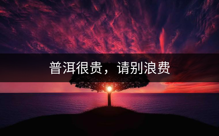 普洱很貴，請別浪費