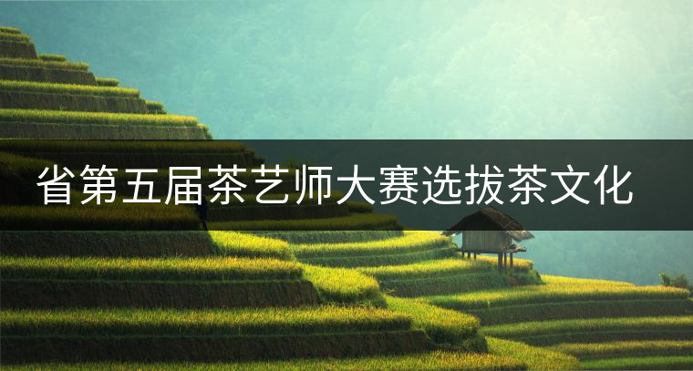 省第五屆茶藝師大賽選拔茶文化大使 省第五屆茶藝師大賽選拔茶文化大使