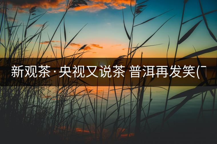 新觀茶·央視又說茶 普洱再發(fā)笑(下) 新觀茶·央視又說茶 普洱再發(fā)笑(下)
