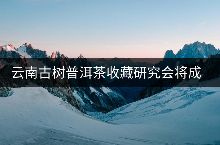 云南古樹(shù)普洱茶收藏研究會(huì)將成立