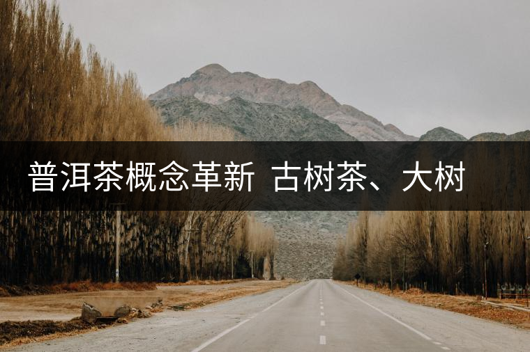 普洱茶概念革新  古樹茶、大樹茶定位被再次厘清