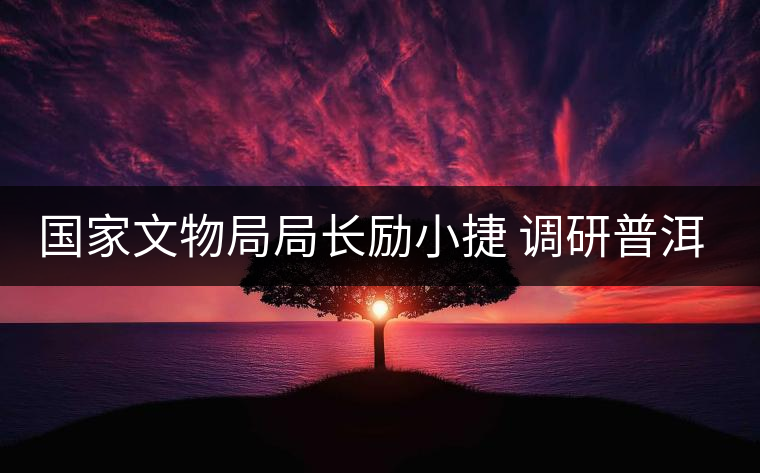 國家文物局局長(zhǎng)勵(lì)小捷 調(diào)研普洱景邁山古茶園申遺工作 國家文物局局長(zhǎng)勵(lì)小捷 調(diào)研普洱景邁山古茶園申遺工作