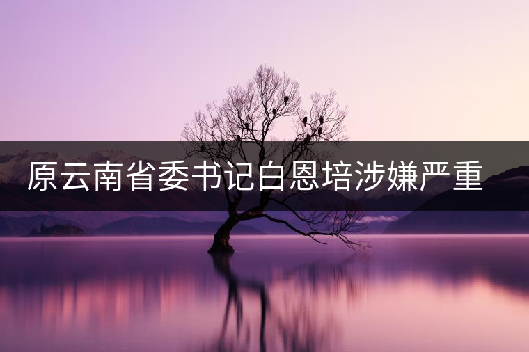 原云南省委書記白恩培涉嫌嚴(yán)重違紀(jì)違法被調(diào)查 或涉劉漢官商勾結(jié)案 原云南省委書記白恩培涉嫌嚴(yán)重違紀(jì)違法被調(diào)查 或涉劉漢官商勾結(jié)案