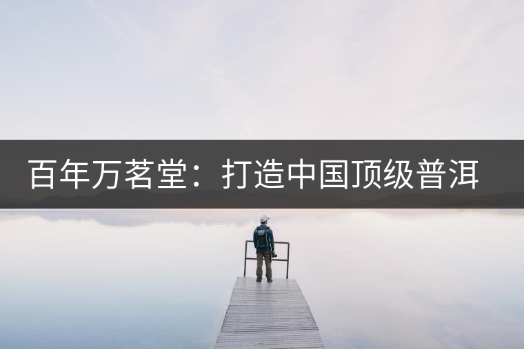 百年萬茗堂:打造中國頂級(jí)普洱茶禮 百年萬茗堂:打造中國頂級(jí)普洱茶禮