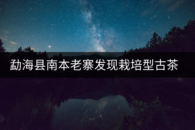勐??h南本老寨發(fā)現(xiàn)栽培型古茶樹 勐海縣南本老寨發(fā)現(xiàn)栽培型古茶樹