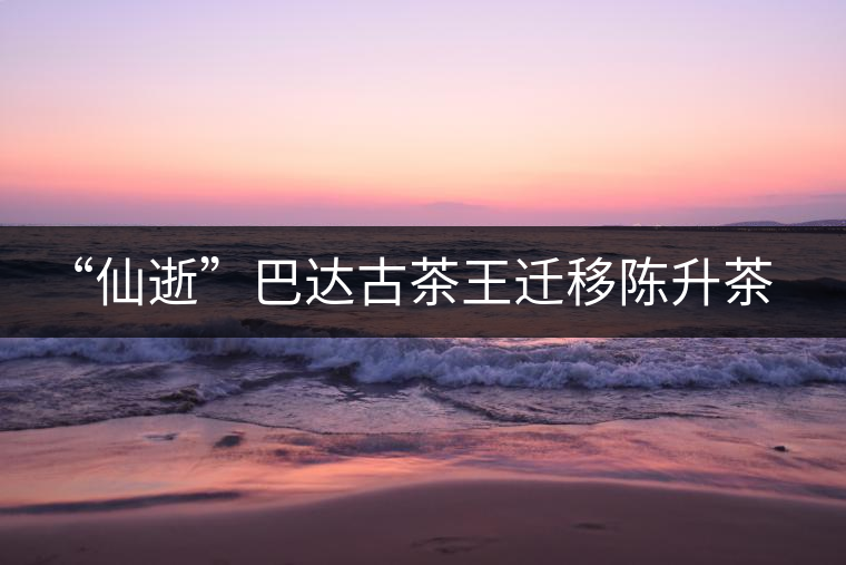 “仙逝”巴達古茶王遷移陳升茶業(yè)公司 “仙逝”巴達古茶王遷移陳升茶業(yè)公司