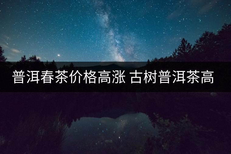普洱春茶價(jià)格高漲 古樹普洱茶高開后路在何方? 普洱春茶價(jià)格高漲 古樹普洱茶高開后路在何方?