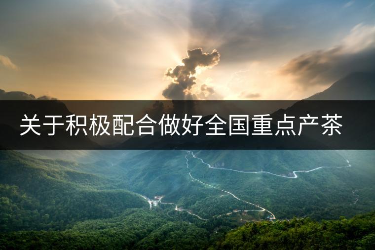 關于積極配合做好全國重點產茶縣、百強茶企和年度經濟人物調查推選工作的通知