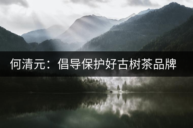 何清元:倡導(dǎo)保護(hù)好古樹(shù)茶品牌資源 何清元:倡導(dǎo)保護(hù)好古樹(shù)茶品牌資源