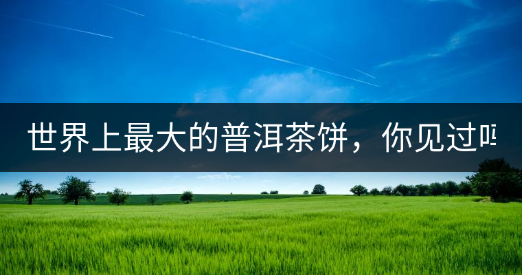 世界上最大的普洱茶餅，你見過嗎？