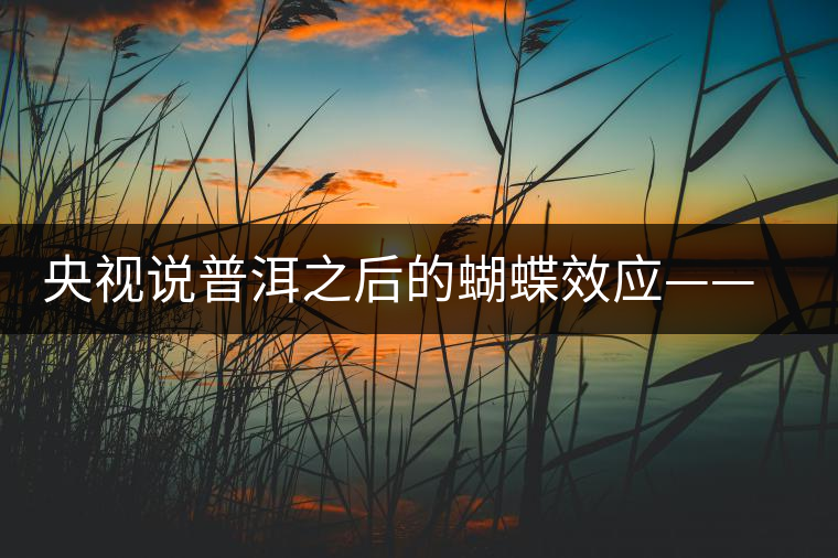 央視說(shuō)普洱之后的蝴蝶效應(yīng)——過(guò)度開(kāi)采會(huì)出現(xiàn)“死循環(huán)”？