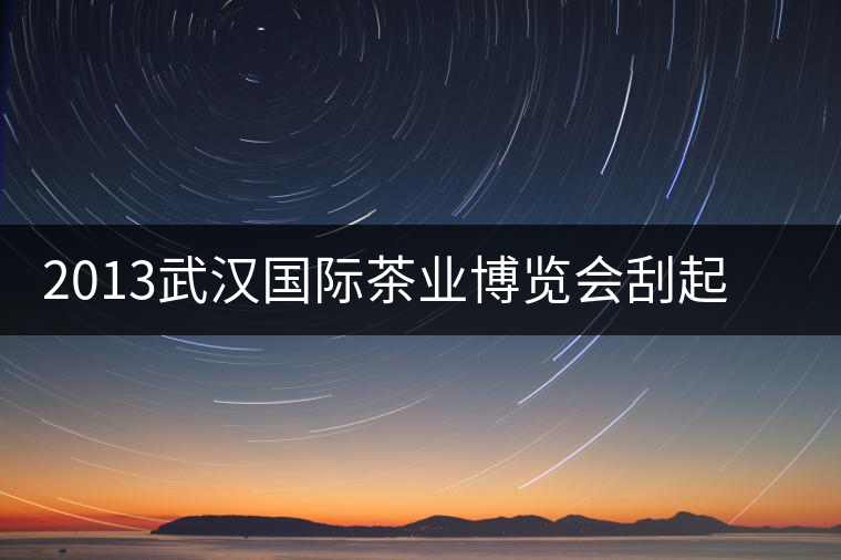 2013武漢國際茶業(yè)博覽會刮起一股“黑旋風 2013武漢國際茶業(yè)博覽會刮起一股“黑旋風