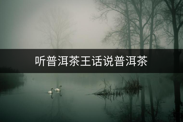 聽(tīng)普洱茶王話(huà)說(shuō)普洱茶 聽(tīng)普洱茶王話(huà)說(shuō)普洱茶