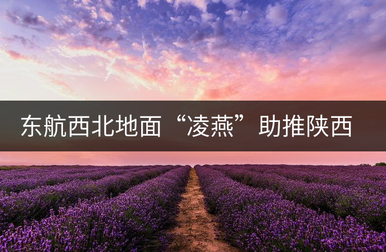 東航西北地面“凌燕”助推陜西省文化節(jié)開幕 東航西北地面“凌燕”助推陜西省文化節(jié)開幕