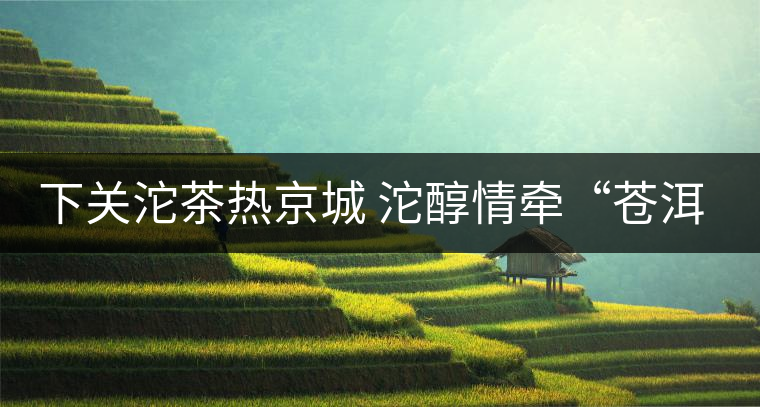 下關(guān)沱茶熱京城 沱醇情牽“蒼洱”緣 下關(guān)沱茶熱京城 沱醇情牽“蒼洱”緣