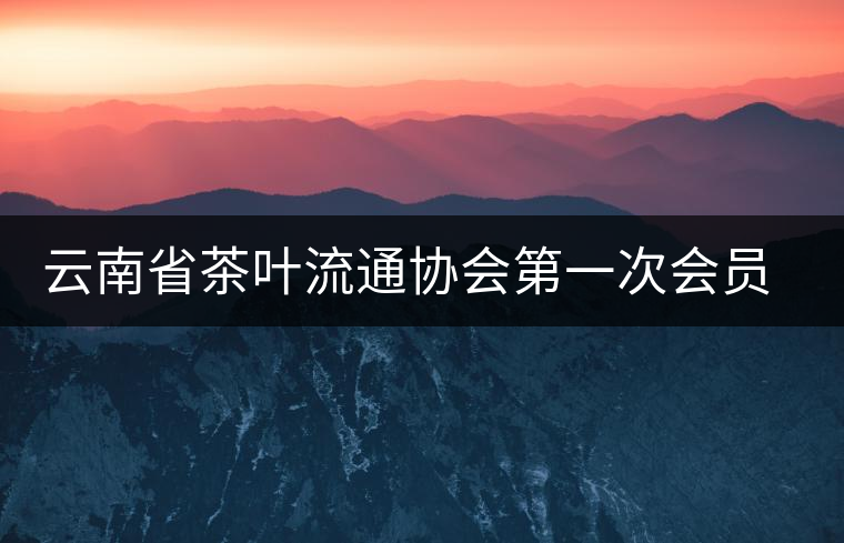 云南省茶葉流通協(xié)會第一次會員代表大會在康樂茶文化城召開 云南省茶葉流通協(xié)會第一次會員代表大會在康樂茶文化城召開