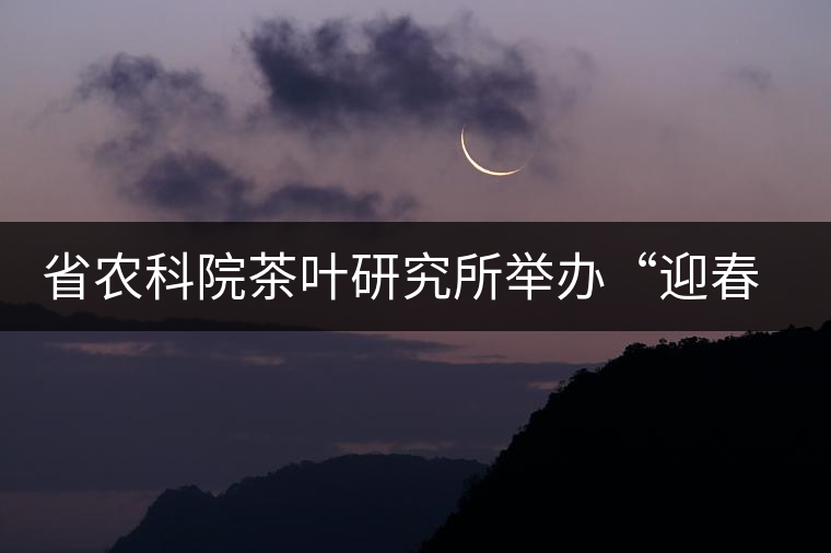 省農(nóng)科院茶葉研究所舉辦“迎春節(jié)、慶元旦”籃球聯(lián)誼賽