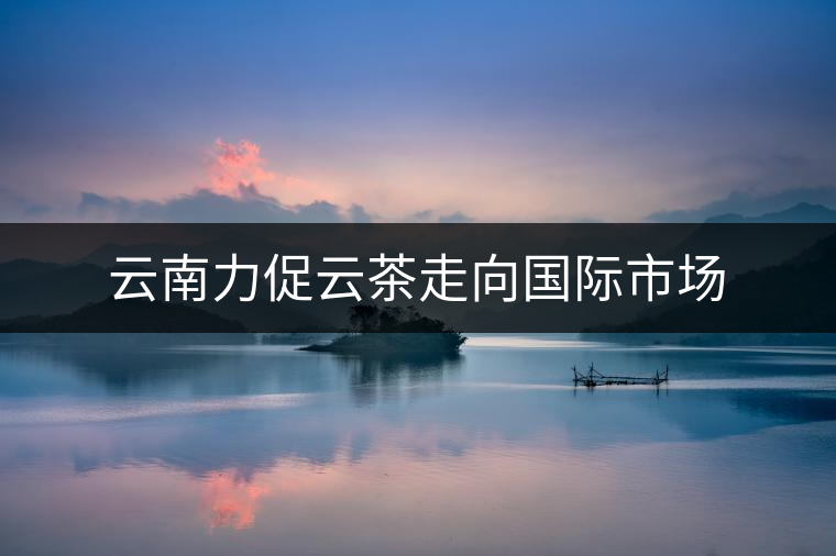 云南力促云茶走向國際市場 云南力促云茶走向國際市場