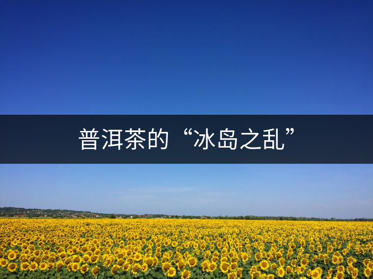 普洱茶的“冰島之亂” 普洱茶的“冰島之亂”