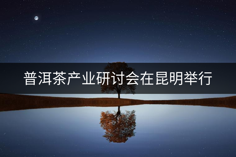 普洱茶產(chǎn)業(yè)研討會(huì)在昆明舉行