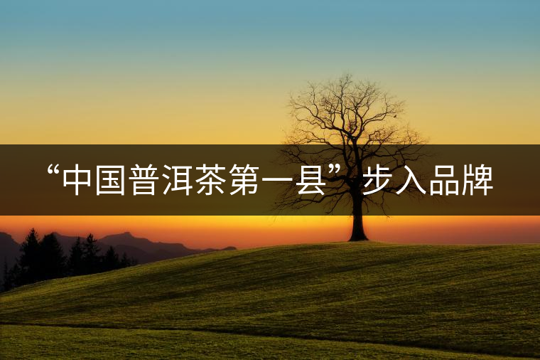 “中國普洱茶第一縣”步入品牌時(shí)代 “中國普洱茶第一縣”步入品牌時(shí)代