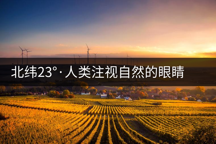 北緯23°·人類(lèi)注視自然的眼睛——探訪(fǎng)中科院哀牢山生態(tài)站 北緯23°·人類(lèi)注視自然的眼睛——探訪(fǎng)中科院哀牢山生態(tài)站