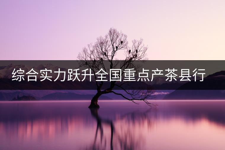 綜合實(shí)力躍升全國重點(diǎn)產(chǎn)茶縣行列 綜合實(shí)力躍升全國重點(diǎn)產(chǎn)茶縣行列
