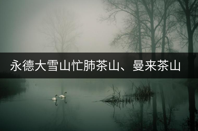 永德大雪山忙肺茶山、曼來(lái)茶山、放牛場(chǎng)茶園的生態(tài)指數(shù)