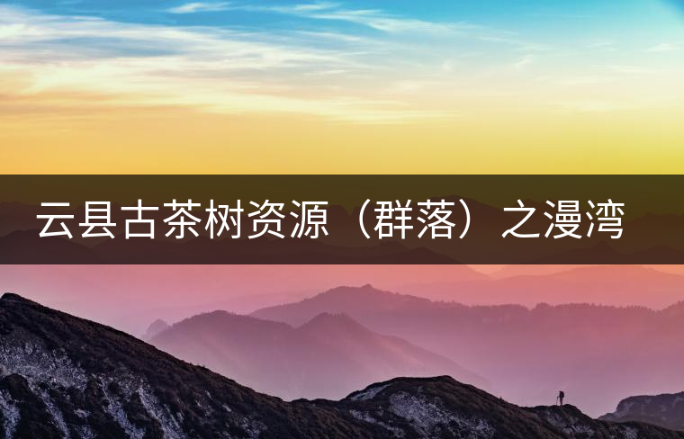 云縣古茶樹資源（群落）之漫灣鎮(zhèn)、茂蘭鎮(zhèn)大丙山