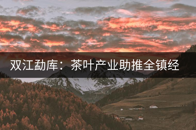 雙江勐庫(kù):茶葉產(chǎn)業(yè)助推全鎮(zhèn)經(jīng)濟(jì)蓬勃發(fā)展 雙江勐庫(kù):茶葉產(chǎn)業(yè)助推全鎮(zhèn)經(jīng)濟(jì)蓬勃發(fā)展