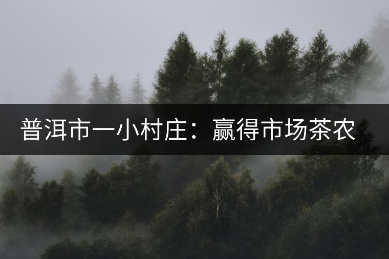 普洱市一小村莊:贏得市場(chǎng)茶農(nóng)樂 普洱市一小村莊:贏得市場(chǎng)茶農(nóng)樂