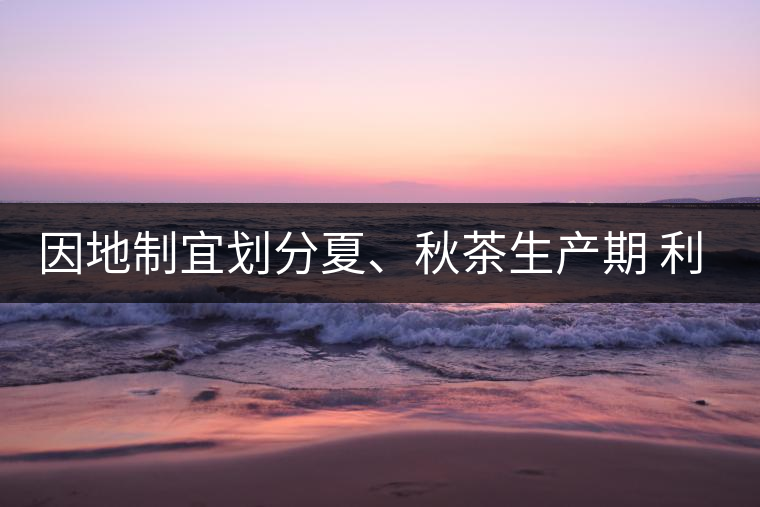 因地制宜劃分夏、秋茶生產(chǎn)期 利于采摘品質(zhì)