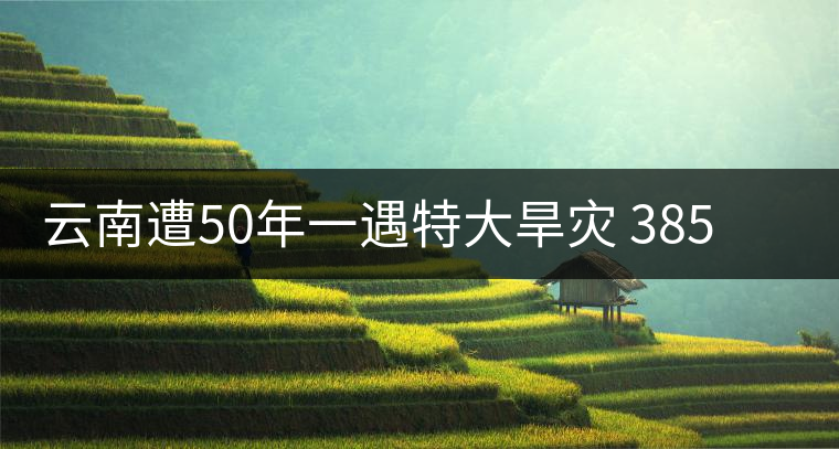 云南遭50年一遇特大旱災(zāi) 385萬(wàn)人飲水困難 云南遭50年一遇特大旱災(zāi) 385萬(wàn)人飲水困難