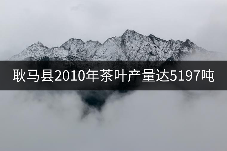 耿馬縣2010年茶葉產(chǎn)量達5197噸