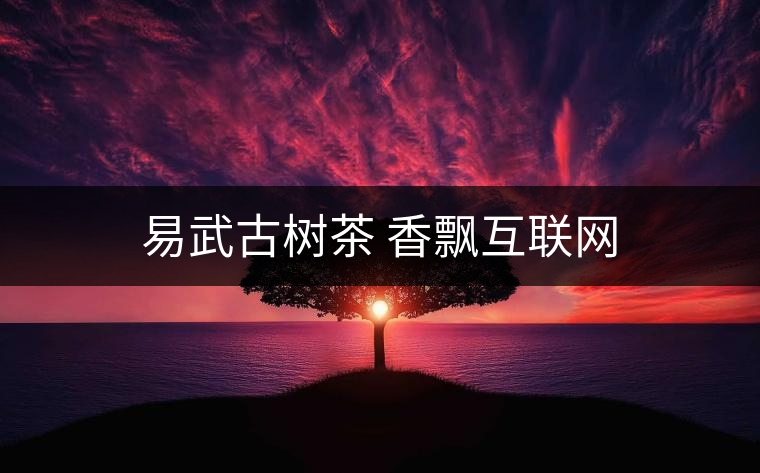 易武古樹茶 香飄互聯(lián)網(wǎng)