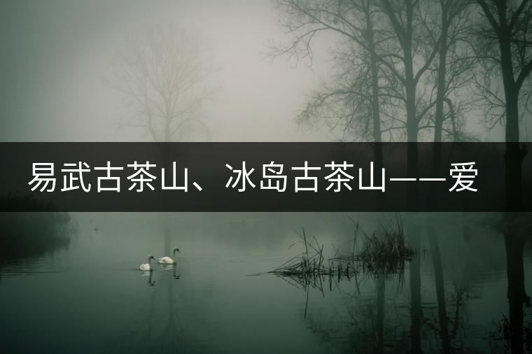 易武古茶山、冰島古茶山——愛(ài)茶人的旅游選擇