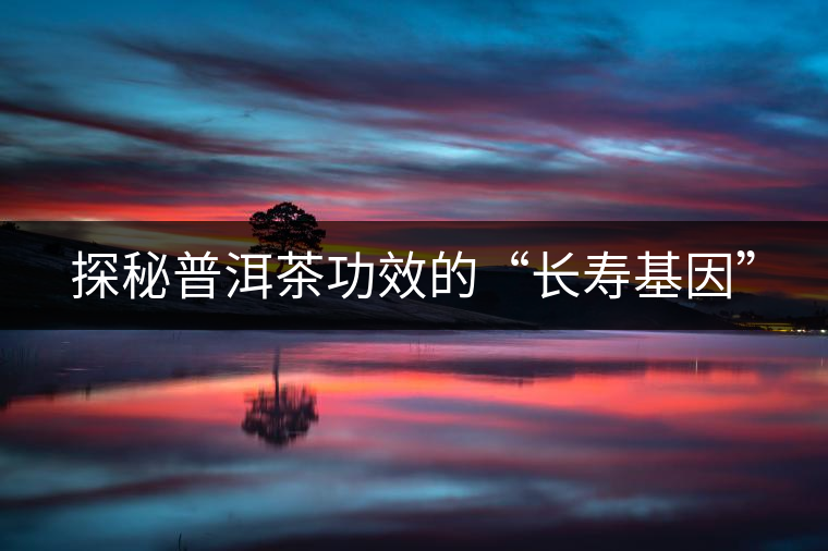 探秘普洱茶功效的“長壽基因” 探秘普洱茶功效的“長壽基因”
