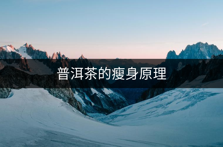 普洱茶的瘦身原理 普洱茶的瘦身原理