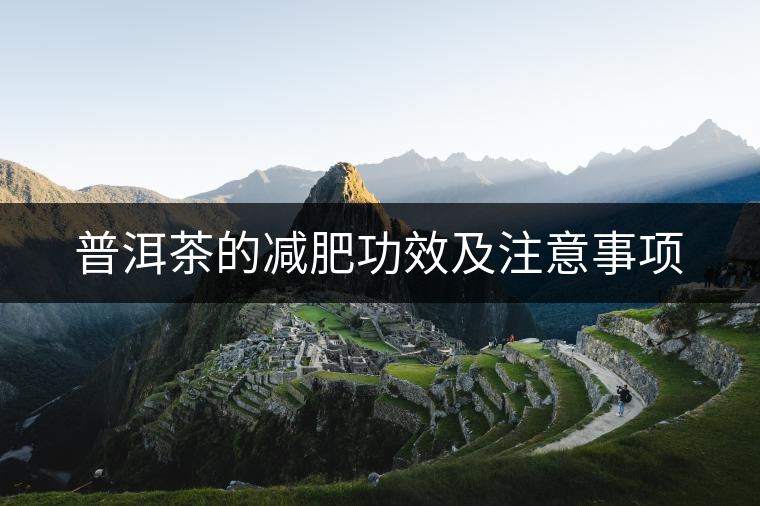 普洱茶的減肥功效及注意事項(xiàng) 普洱茶的減肥功效及注意事項(xiàng)